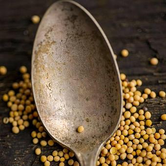 Product - Mustard Seed Market & Cafe in Akron, OH Coffee, Espresso & Tea House Restaurants