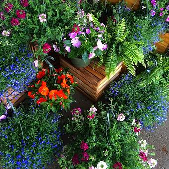 Product - Mustard Seed Market & Cafe in Akron, OH Coffee, Espresso & Tea House Restaurants