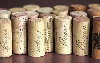 Product - Mystic Fish Restaurant in Palm Harbor, Tampa Bay Area - Palm Harbor, FL Seafood Restaurants