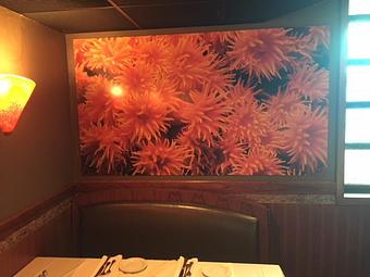 Product - Mystic Fish Restaurant in Palm Harbor, Tampa Bay Area - Palm Harbor, FL Seafood Restaurants