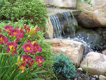 Product - Nature's Aquatics in Baden, PA Business Services