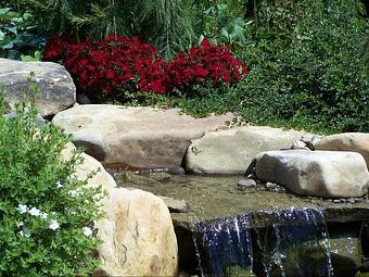 Product - Nature's Aquatics in Baden, PA Business Services