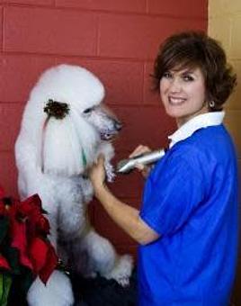 Product - Noah's Ark Boarding Kennel in Statesville, NC Pet Boarding & Grooming