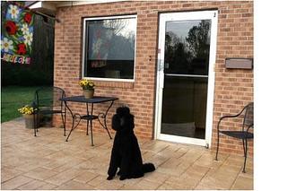 Product - Noah's Ark Boarding Kennel in Statesville, NC Pet Boarding & Grooming