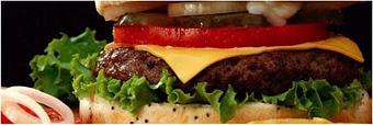 Product - Noah's Ark in Gluten Free Friendly! - Winston, OR Hamburger Restaurants