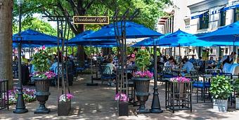 Product - Occidental Grill and Seafood in Washington, DC Seafood Restaurants