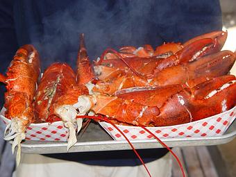 Product - Ogunquit Lobster Pound Restaurant in Ogunquit, ME Seafood Restaurants