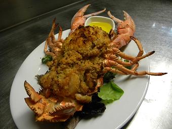 Product: OYI 2 Lb. Baked Stuffed Lobster - Old Yarmouth Inn in Yarmouth Port, MA American Restaurants