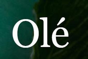 Product - Olé in Cambridge, MA Mexican Restaurants