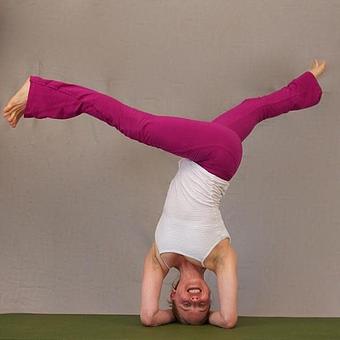 Product - One Tree Yoga East in Omaha, NE Yoga Instruction