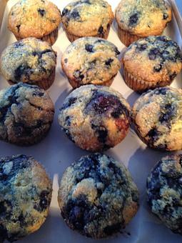 Product: Blueberry Muffins! - Orange Cat Cafe in Kingfield, ME American Restaurants