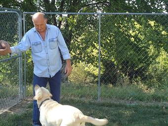 Product - Paws Inn Groom & Board in Wakefield, KS Pet Boarding & Grooming