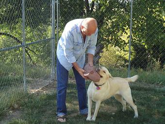 Product - Paws Inn Groom & Board in Wakefield, KS Pet Boarding & Grooming