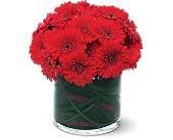 Product - Petals and Leaves in Columbus, OH Shopping & Shopping Services