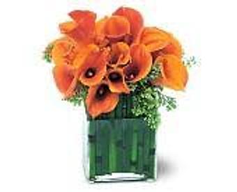 Product - Petals and Leaves in Columbus, OH Shopping & Shopping Services