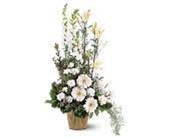 Product - Petals and Leaves in Columbus, OH Shopping & Shopping Services