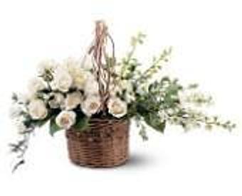 Product - Petals and Leaves in Columbus, OH Shopping & Shopping Services