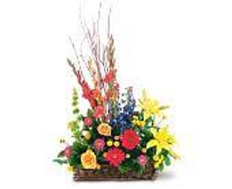 Product - Petals and Leaves in Columbus, OH Shopping & Shopping Services