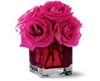 Product - Petals and Leaves in Columbus, OH Shopping & Shopping Services