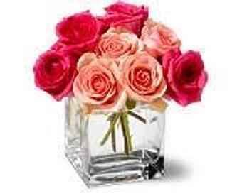 Product - Petals and Leaves in Columbus, OH Shopping & Shopping Services