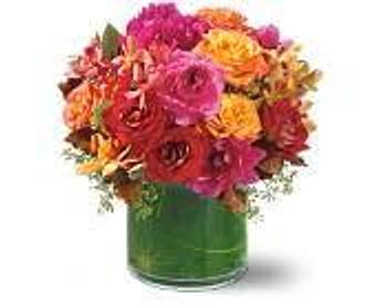 Product - Petals and Leaves in Columbus, OH Shopping & Shopping Services