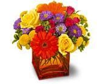 Product - Petals and Leaves in Columbus, OH Shopping & Shopping Services