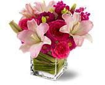 Product - Petals and Leaves in Columbus, OH Shopping & Shopping Services