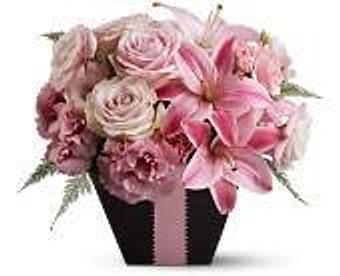 Product - Petals and Leaves in Columbus, OH Shopping & Shopping Services