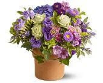 Product - Petals and Leaves in Columbus, OH Shopping & Shopping Services