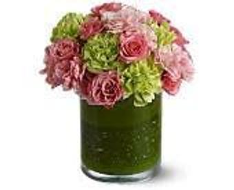 Product - Petals and Leaves in Columbus, OH Shopping & Shopping Services