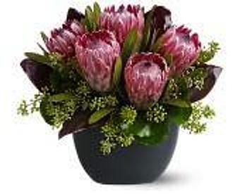 Product - Petals and Leaves in Columbus, OH Shopping & Shopping Services