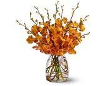 Product - Petals and Leaves in Columbus, OH Shopping & Shopping Services