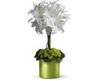 Product - Petals and Leaves in Columbus, OH Shopping & Shopping Services