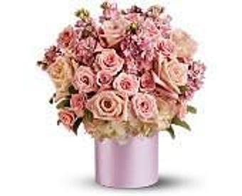 Product - Petals and Leaves in Columbus, OH Shopping & Shopping Services