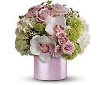 Product - Petals and Leaves in Columbus, OH Shopping & Shopping Services