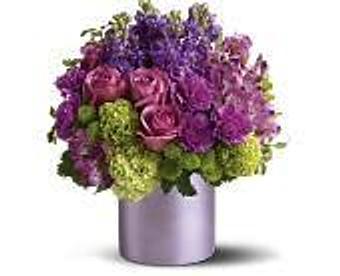 Product - Petals and Leaves in Columbus, OH Shopping & Shopping Services