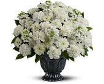 Product - Petals and Leaves in Columbus, OH Shopping & Shopping Services