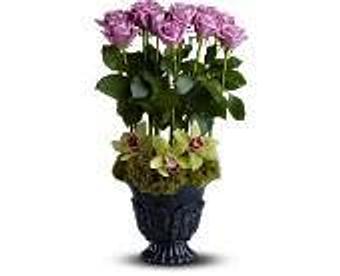 Product - Petals and Leaves in Columbus, OH Shopping & Shopping Services