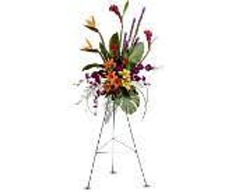 Product - Petals and Leaves in Columbus, OH Shopping & Shopping Services