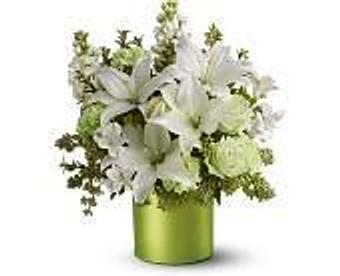 Product - Petals and Leaves in Columbus, OH Shopping & Shopping Services