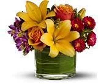 Product - Petals and Leaves in Columbus, OH Shopping & Shopping Services