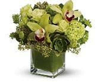 Product - Petals and Leaves in Columbus, OH Shopping & Shopping Services