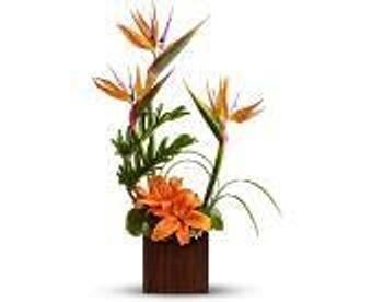 Product - Petals and Leaves in Columbus, OH Shopping & Shopping Services