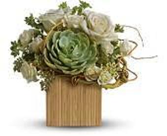 Product - Petals and Leaves in Columbus, OH Shopping & Shopping Services