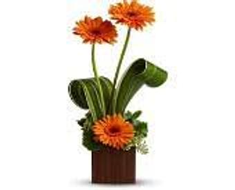 Product - Petals and Leaves in Columbus, OH Shopping & Shopping Services