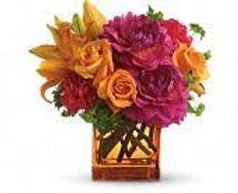 Product - Petals and Leaves in Columbus, OH Shopping & Shopping Services