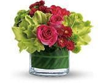 Product - Petals and Leaves in Columbus, OH Shopping & Shopping Services