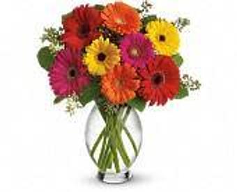 Product - Petals and Leaves in Columbus, OH Shopping & Shopping Services