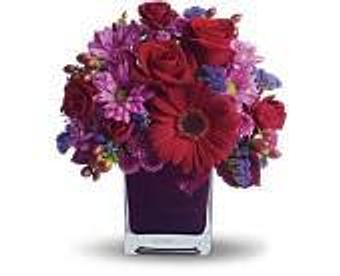 Product - Petals and Leaves in Columbus, OH Shopping & Shopping Services