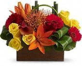 Product - Petals and Leaves in Columbus, OH Shopping & Shopping Services